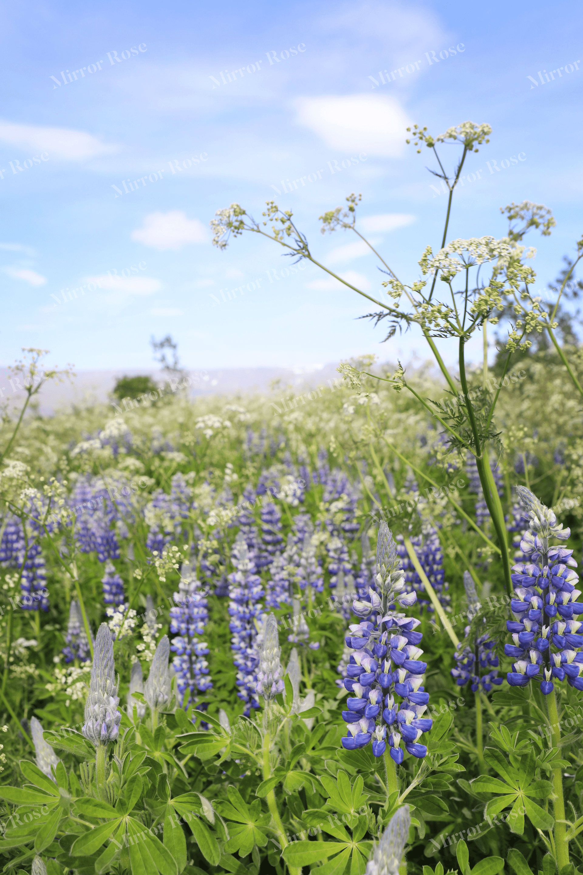 vibrant nordic floral landscape